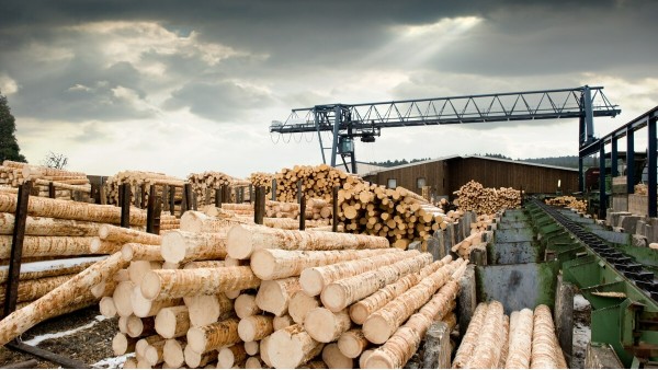 俄将制定措施支持远东木材加工投资项目