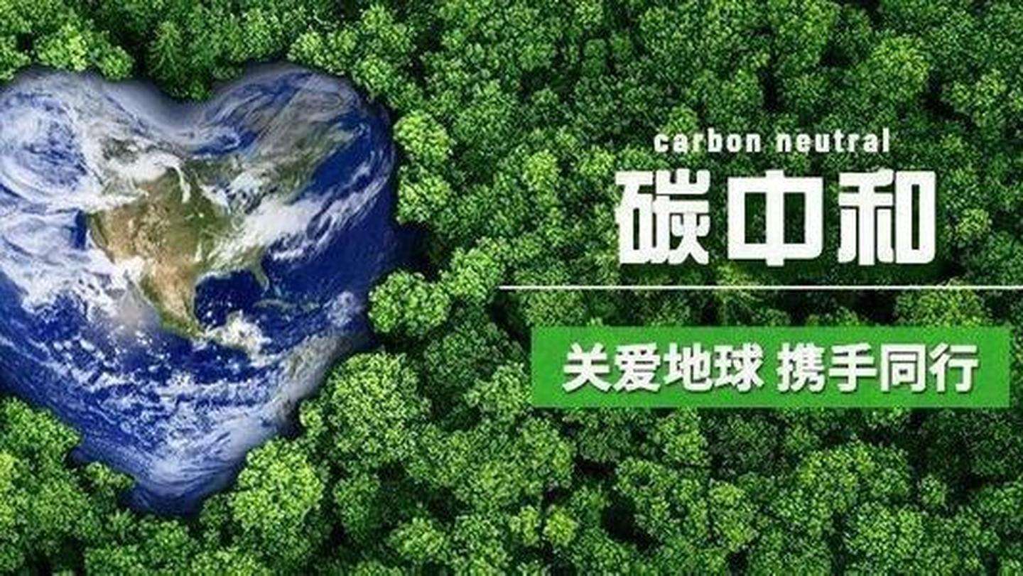 森林经营，事关国家“双碳”目标战略