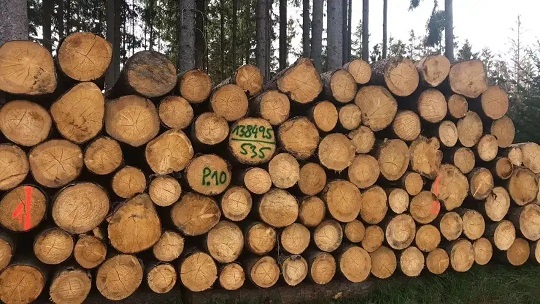 欧洲木材价格上升，究竟为何？