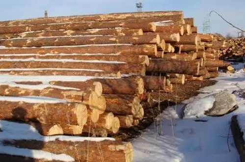 立陶宛木材