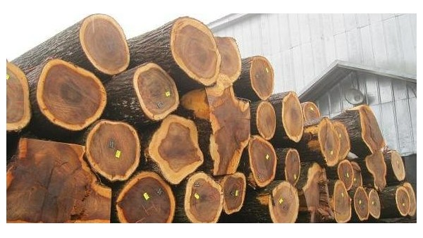 木材行业的展望