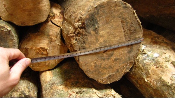 木材重量与体积