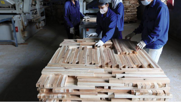 缅甸经济重新复苏，木材业有望重回世界前列